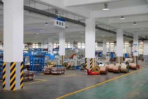 新質生產力的隱形巨人 一位技術研發者在三大新興產業中的深耕之路